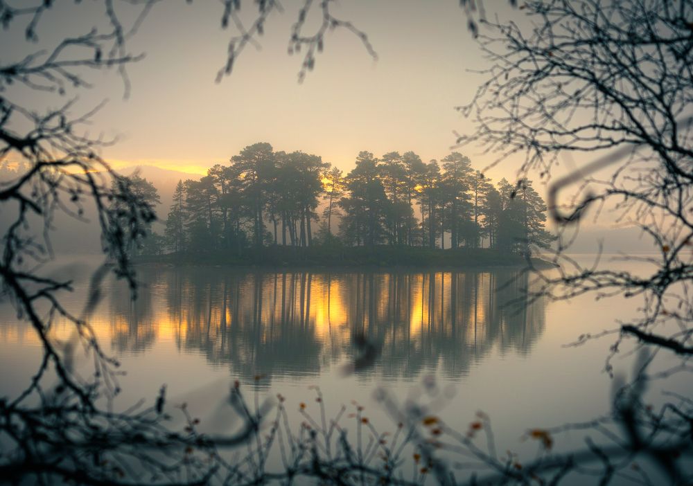 Photograph by Adrian Szatewicz