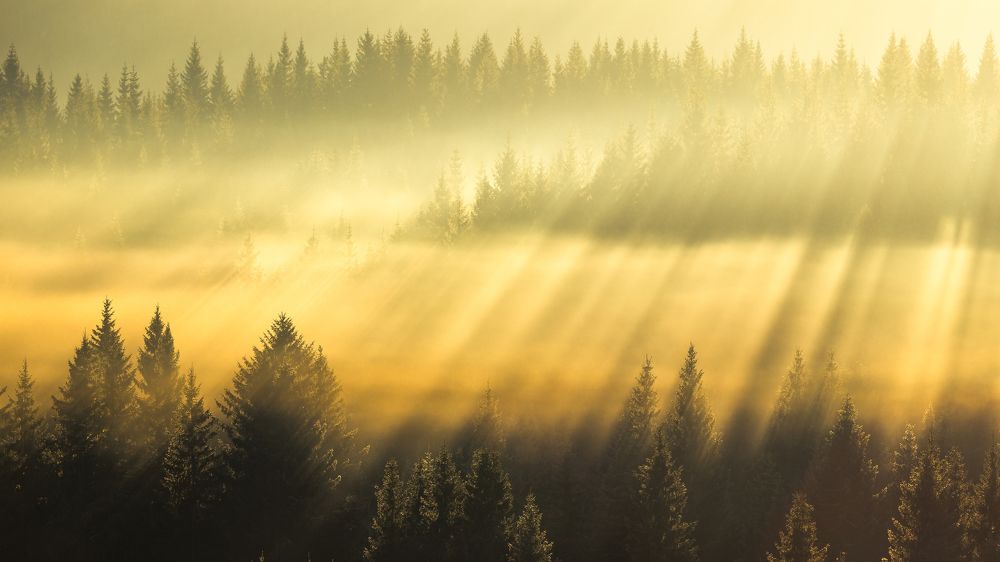 Photograph by Adrian Szatewicz