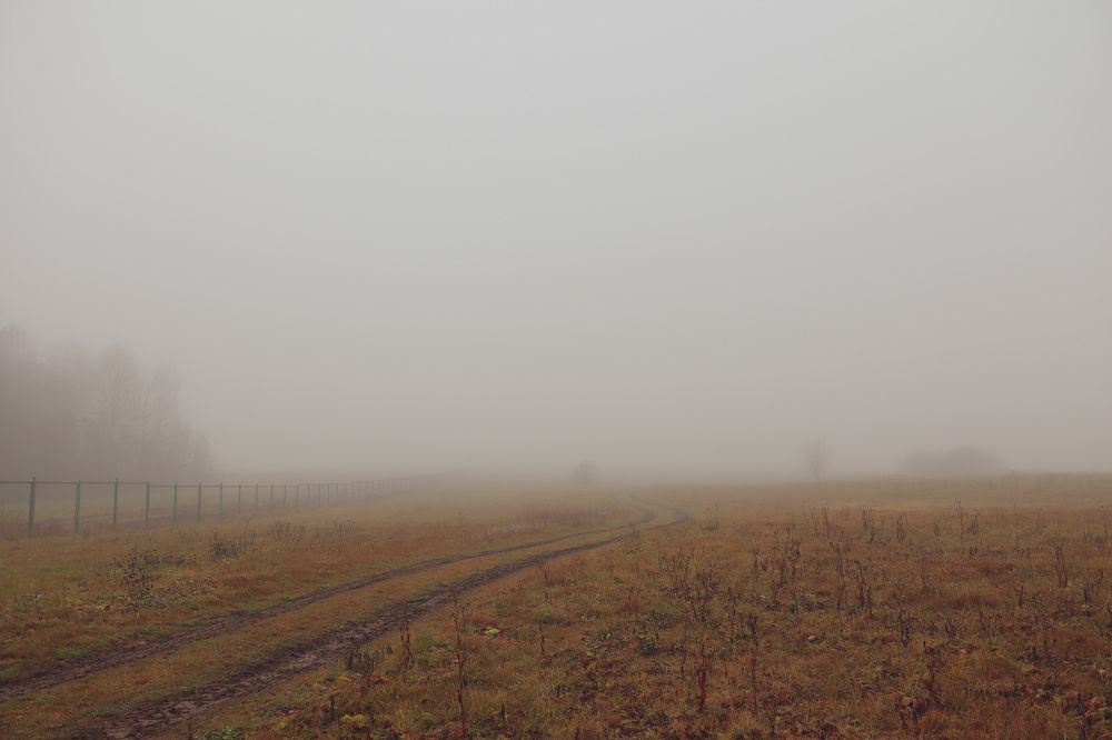 Photograph by Екатерина Слепнева