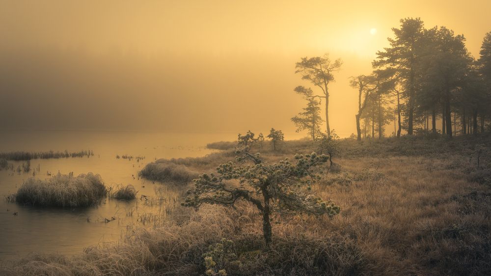 Photograph by Adrian Szatewicz