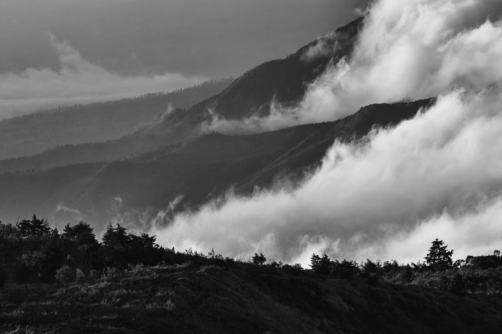 Photograph by Apriadi Nugroho