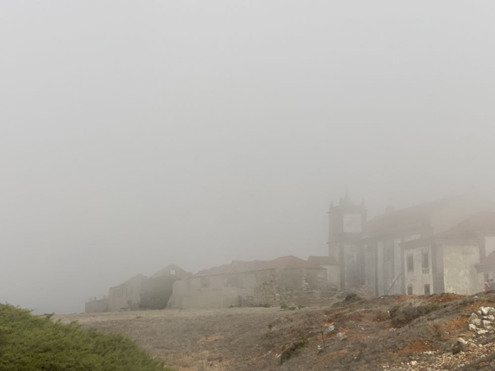 Photograph by Luís Damas