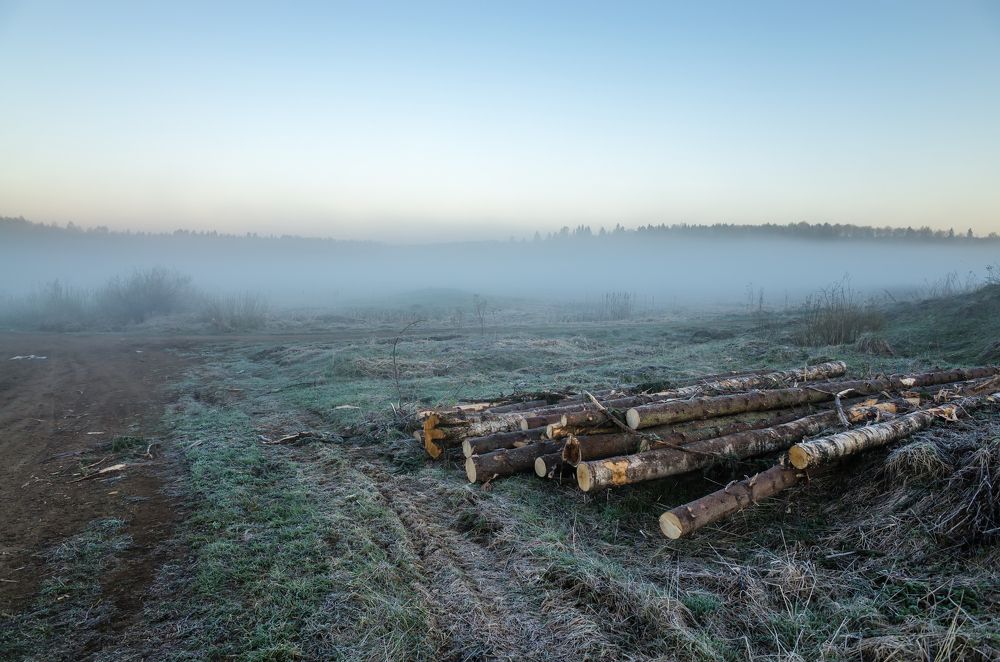 Photograph by Илья Курлин