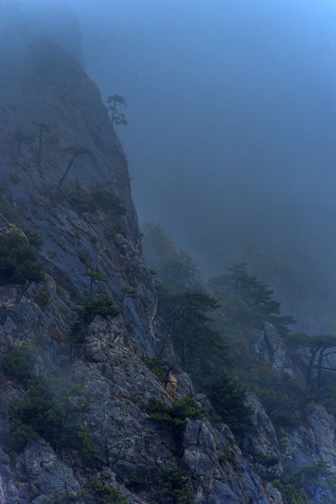 Photograph by Анна Кривицкая