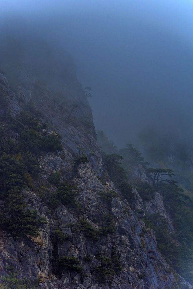 Photograph by Анна Кривицкая