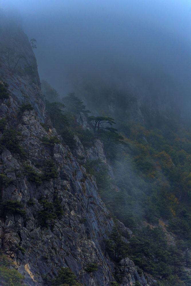 Photograph by Анна Кривицкая