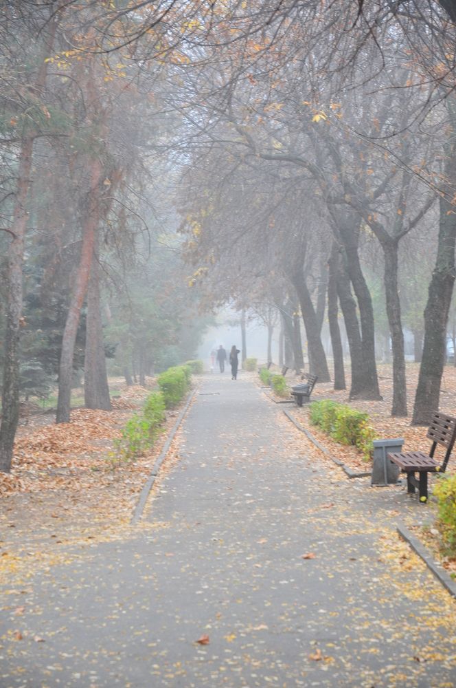 Photograph by Павел Бутенко