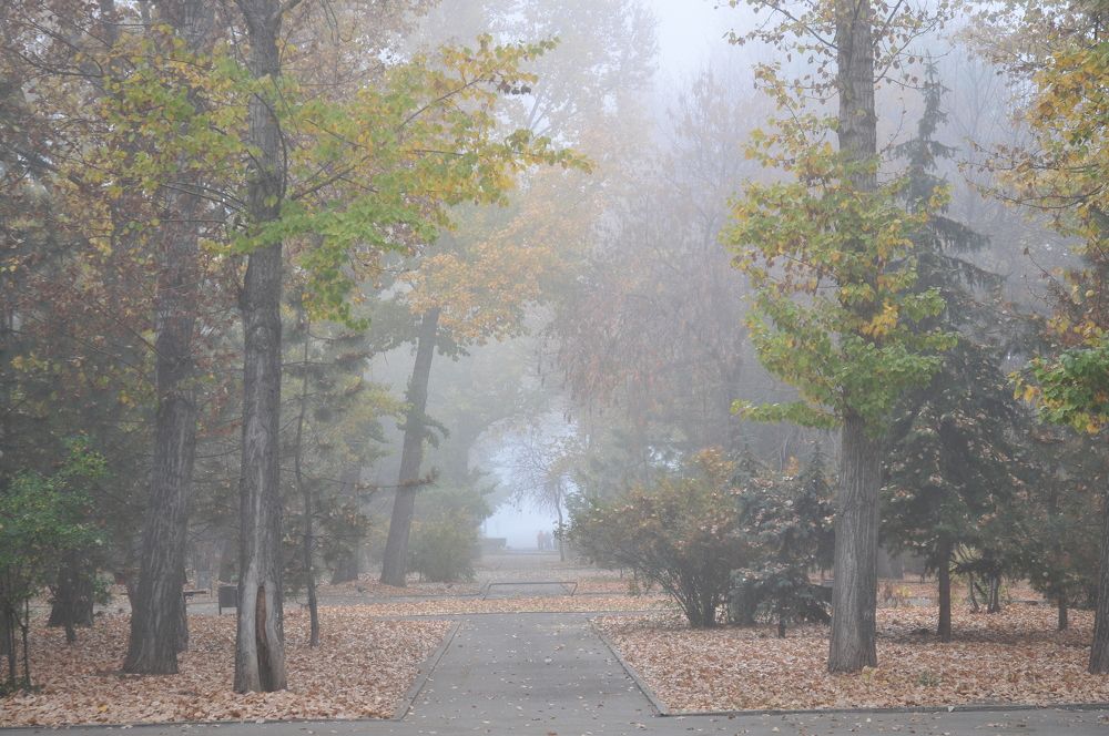 Photograph by Павел Бутенко