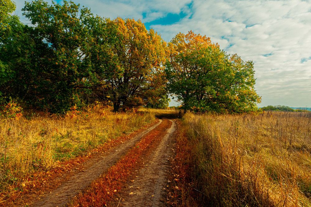 Фотография автора Сергей Сморчков