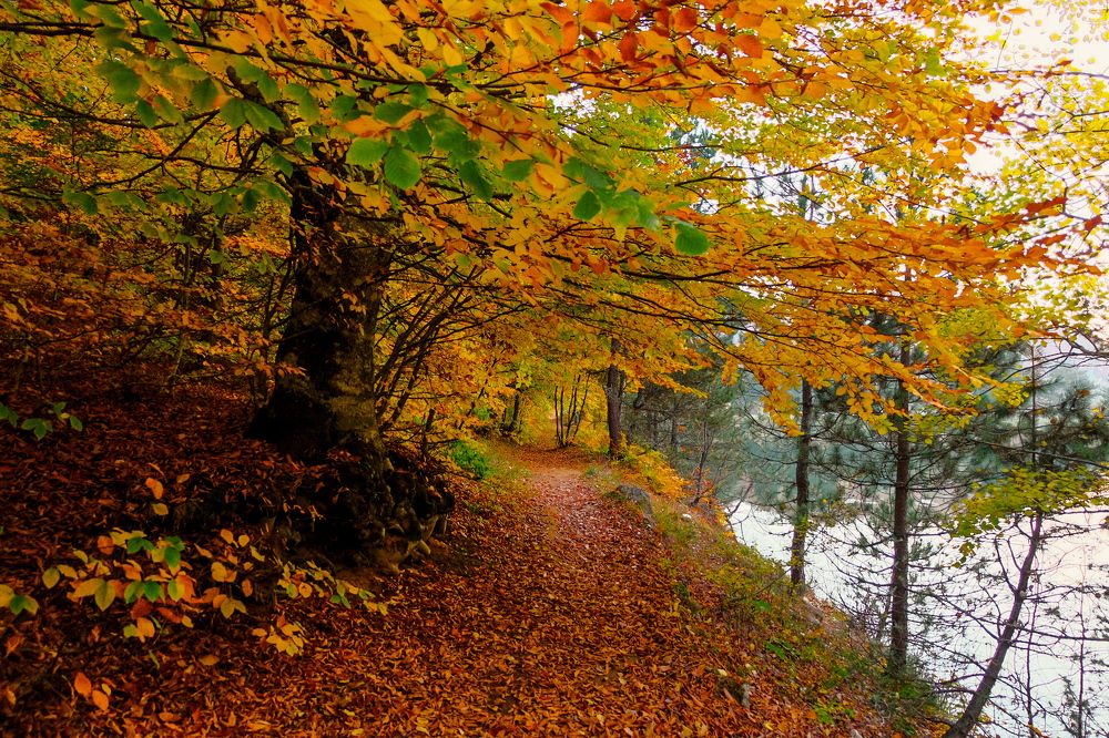 Photograph by Ali Kamil Seren