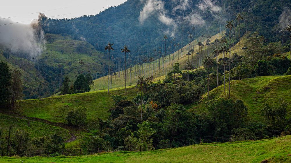 Photograph by Luis Manuel Jiménez Tabares