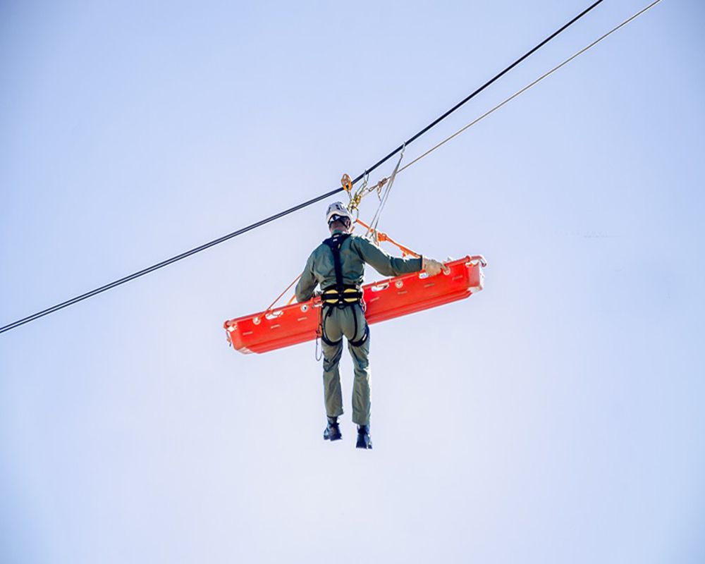 Photograph by CARLOS ALBERTO MOURA HENRIQUE