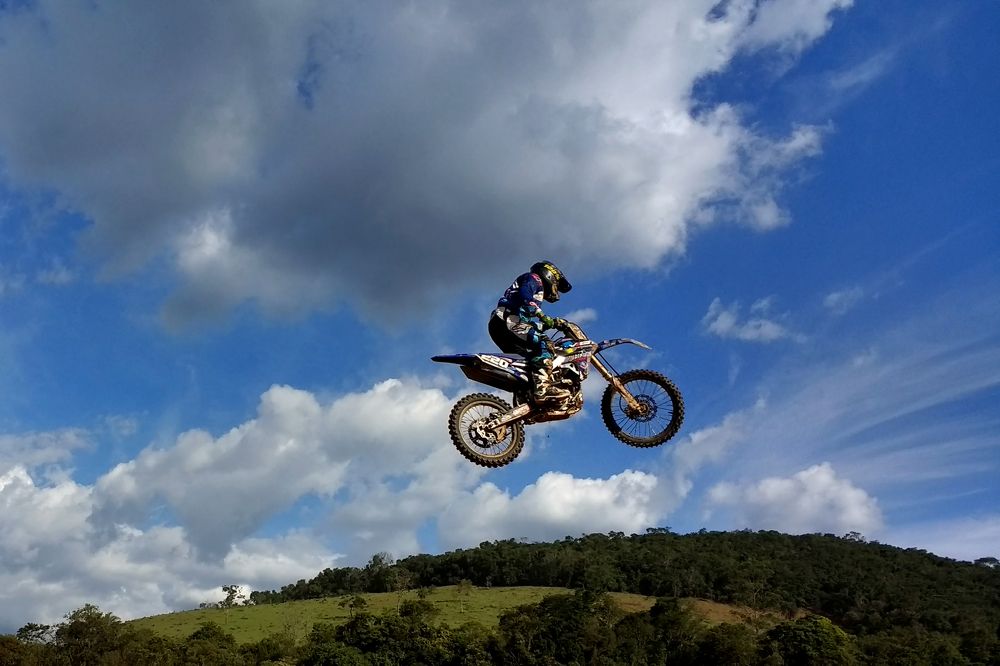 Photograph by Tatiana Barthem