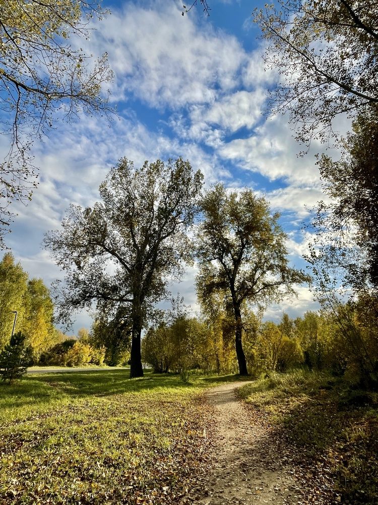 Photograph by Татьяна Ноздрина