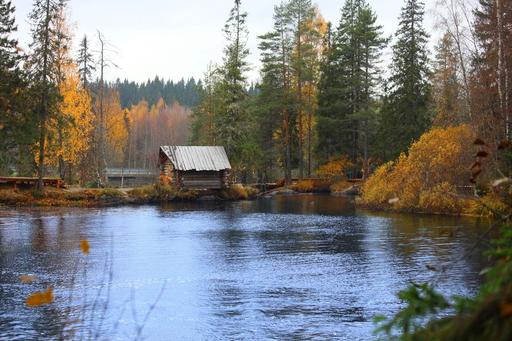 Photograph by Татьяна Бравая