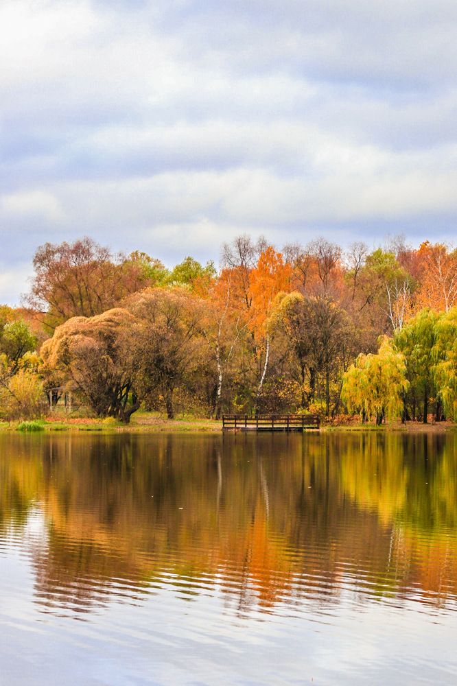 Photograph by Светлана Долгих