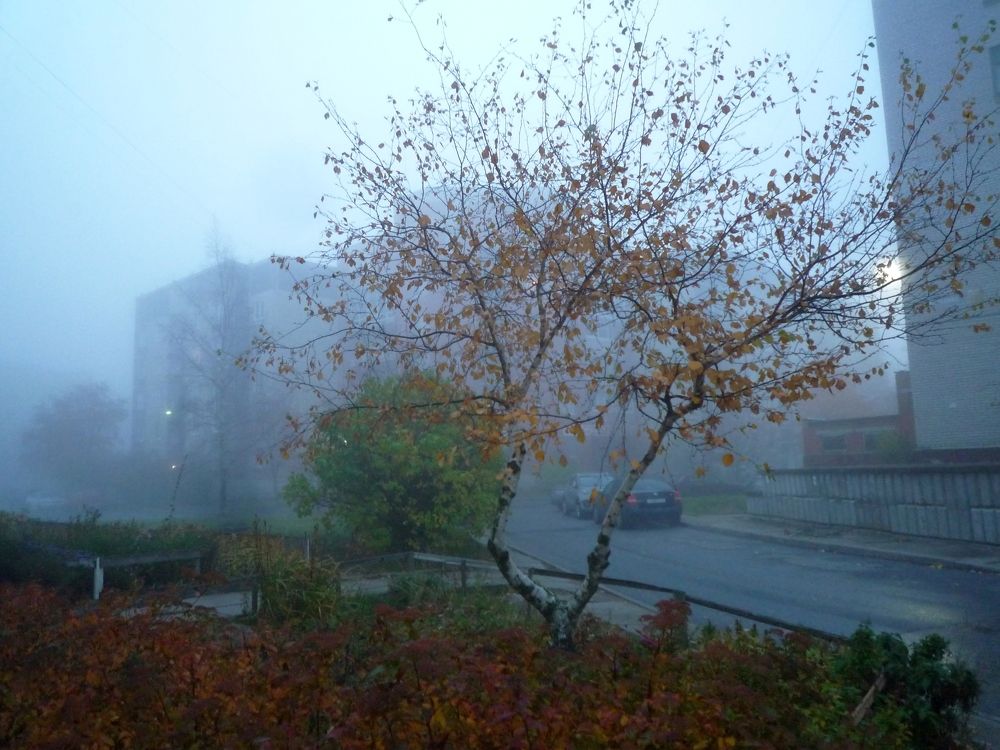 Photograph by Olga Bagaeva