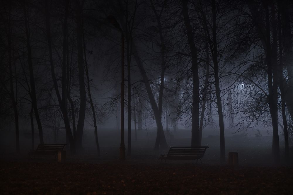 Photograph by Курта Аркадий