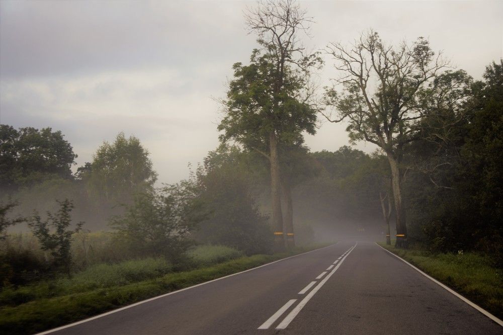 Фотография автора Альбина Хвастунова