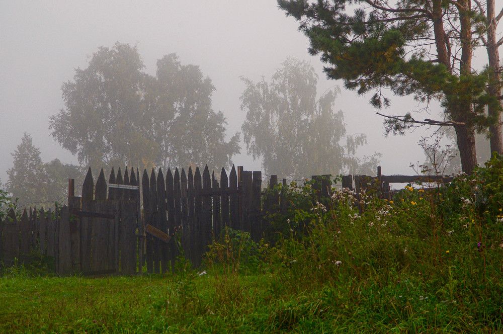 Photograph by Владимир Рандин