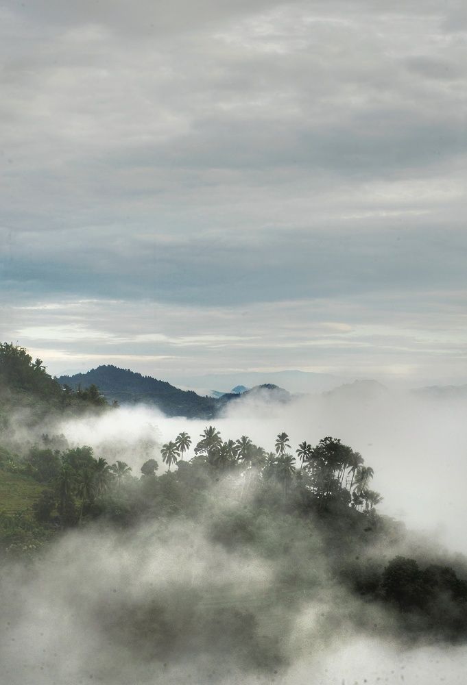 Photograph by Syamsul Alam