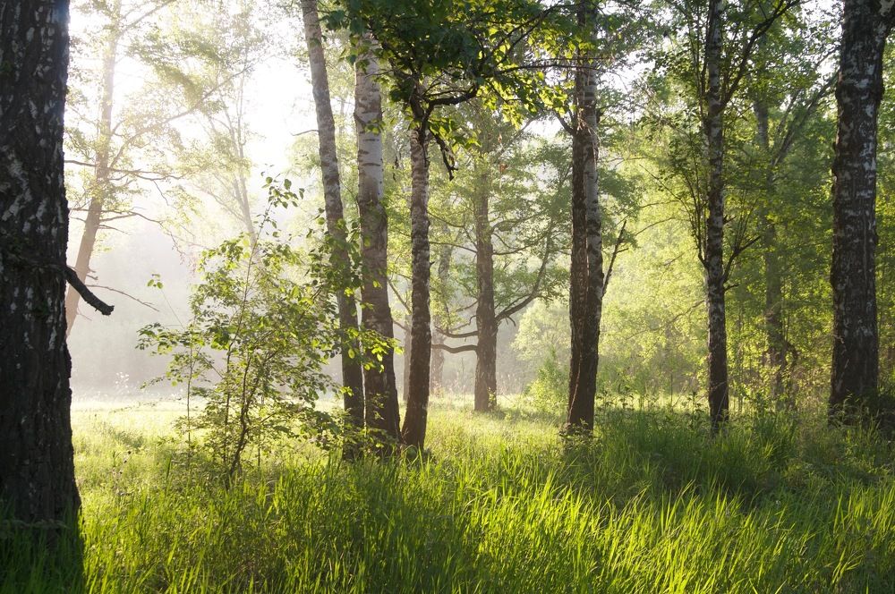 Photograph by Владимир Рандин