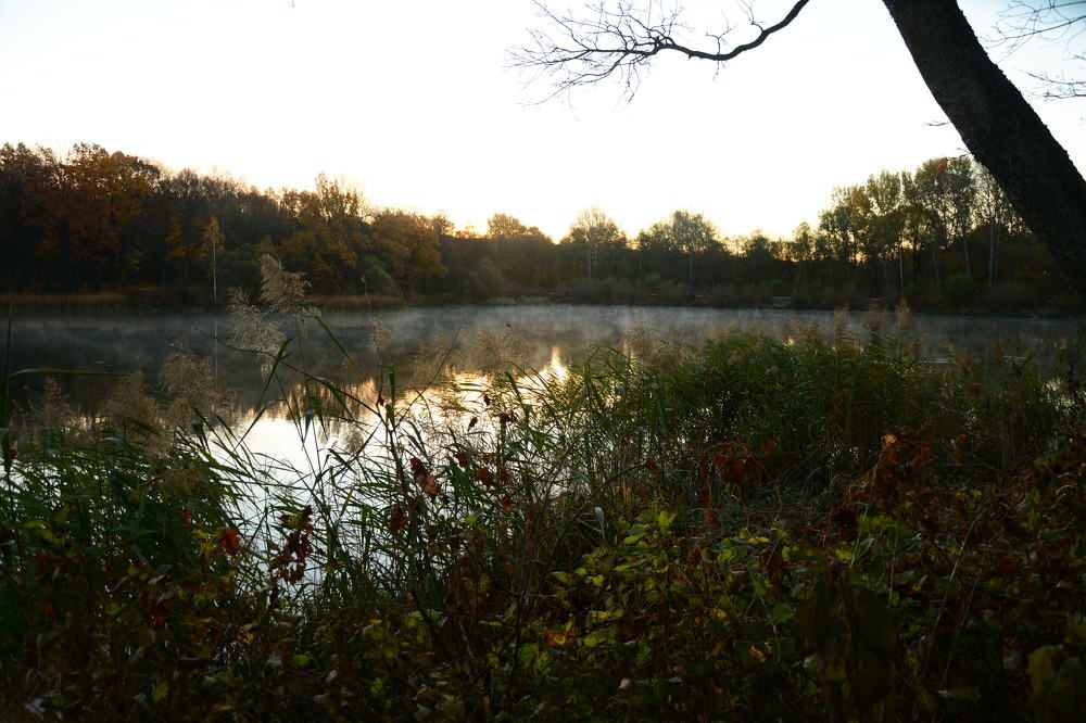 Photograph by Ольга Истомина