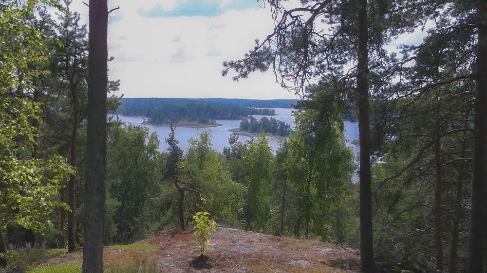 Ладога. остров Кильпола.