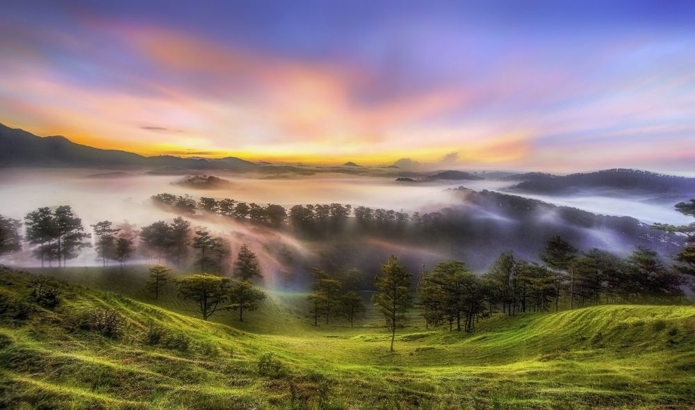 Photograph by Tran Khoa