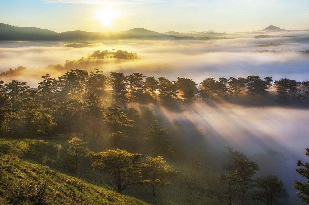 Photograph by Tran Khoa