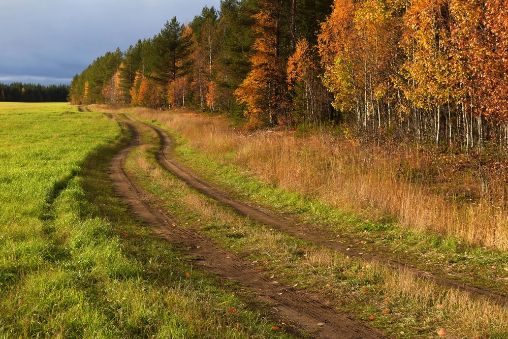 Дорога по осени