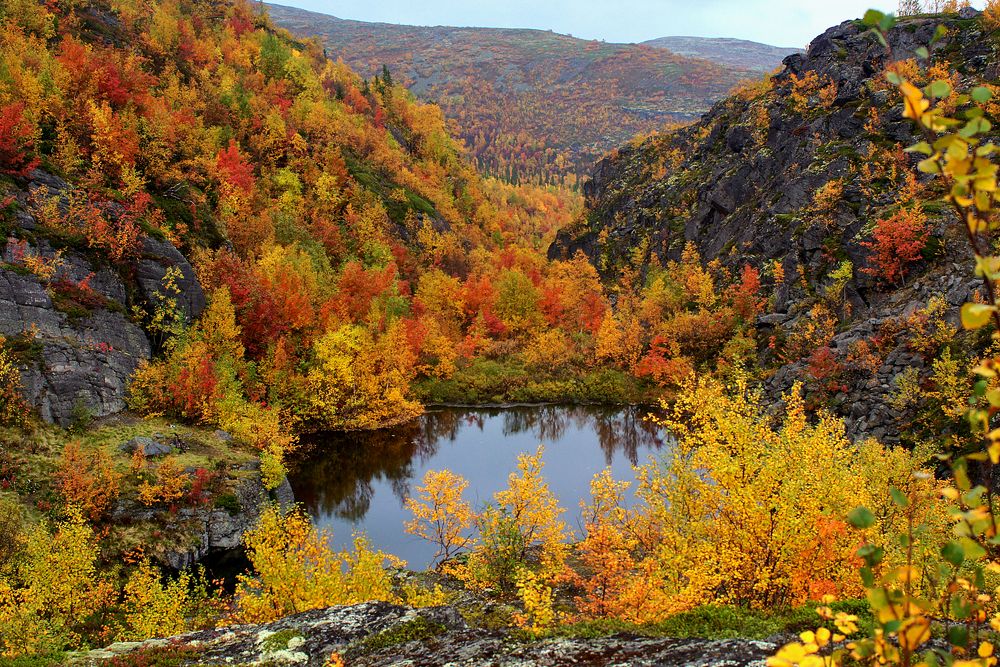 Ущелье шорохов 001