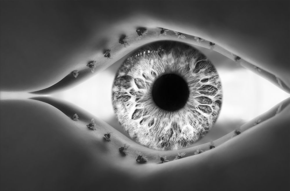 Photograph by Tran Khoa