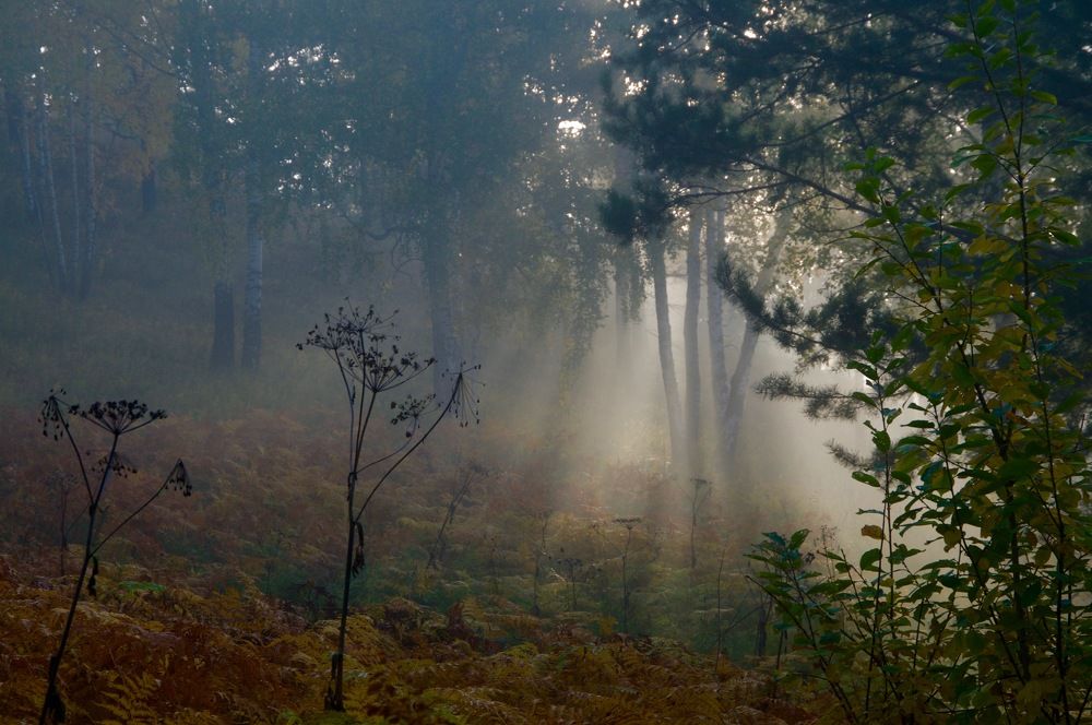 Photograph by Владимир Рандин