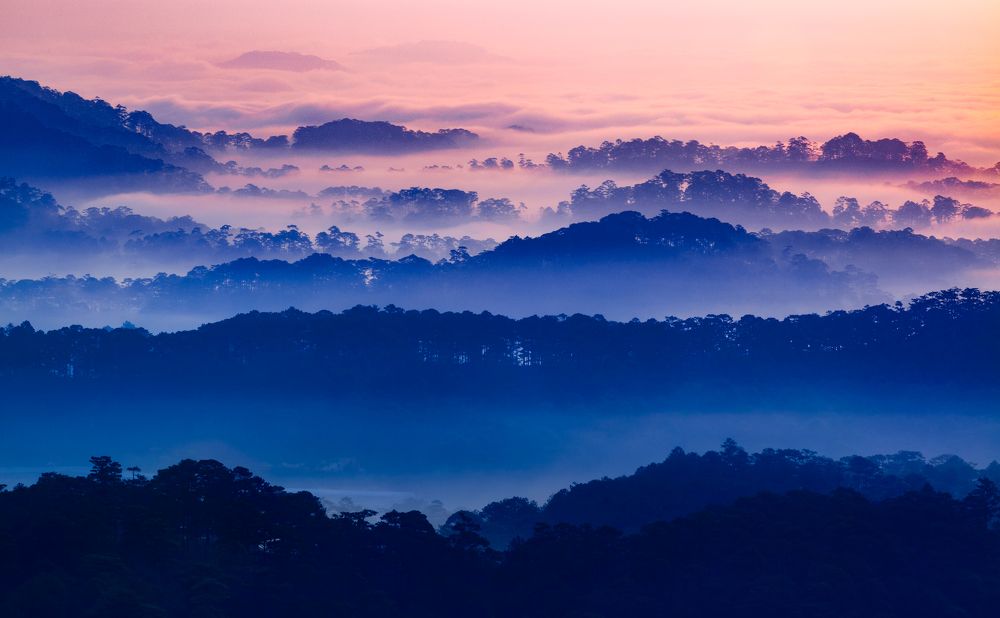 Photograph by Van Nguyen