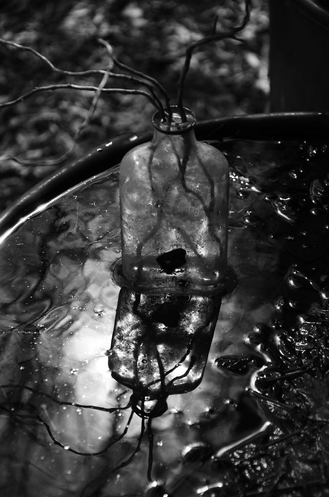 Photograph by Александр Шаварёв