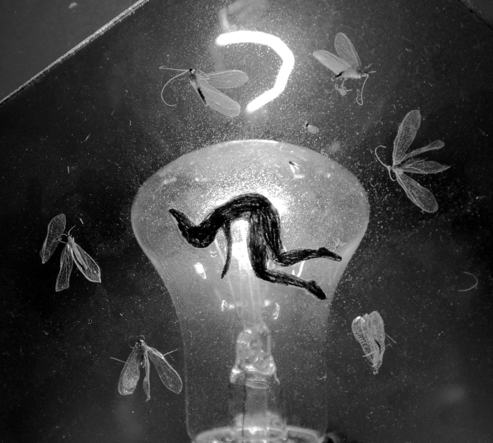 Photograph by Александр Шаварёв