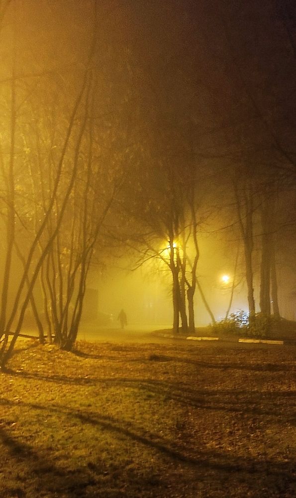 Photograph by Светлана Потемкина