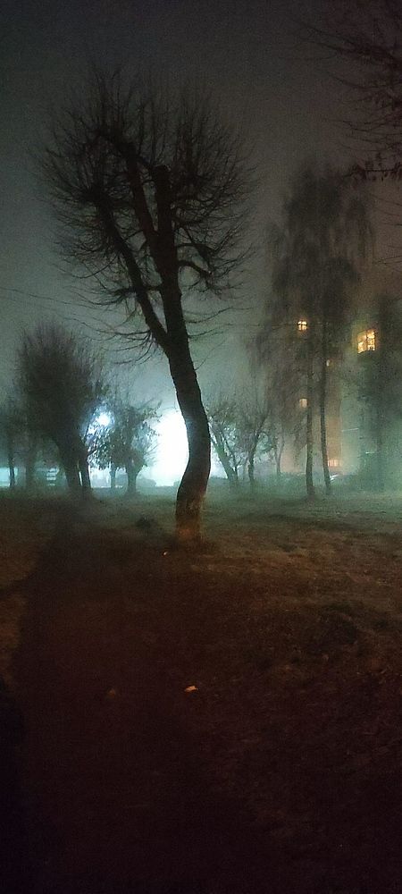 Photograph by Светлана Потемкина