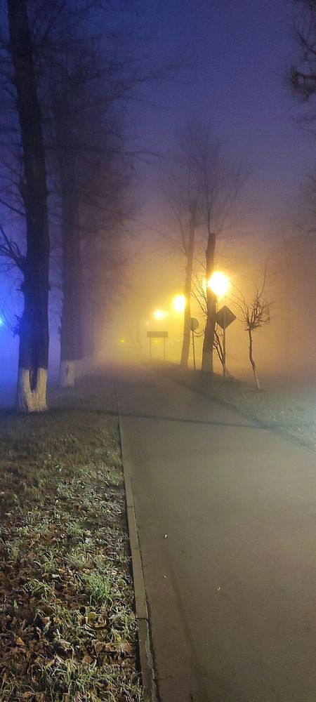 Photograph by Светлана Потемкина