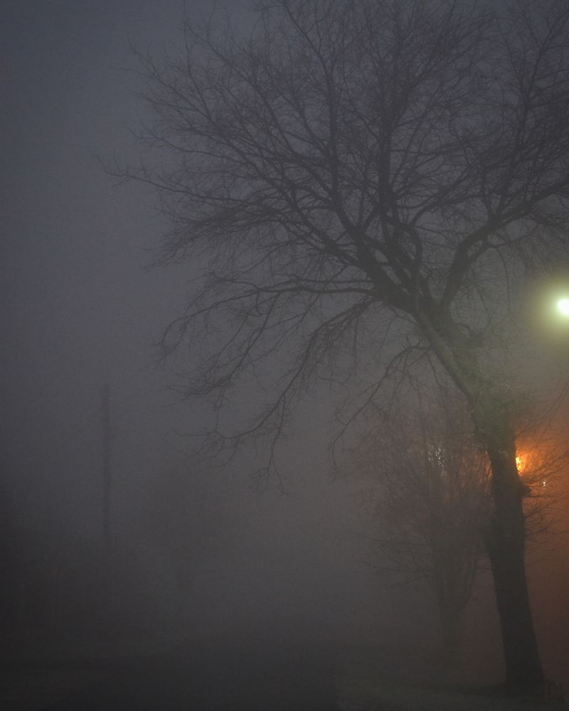 Photograph by Дарья Маркина