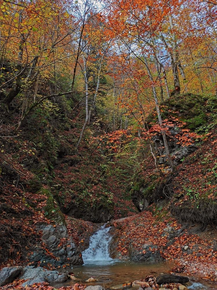 Photograph by Владимир Караман