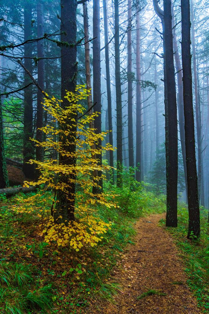 The colors of Autumn