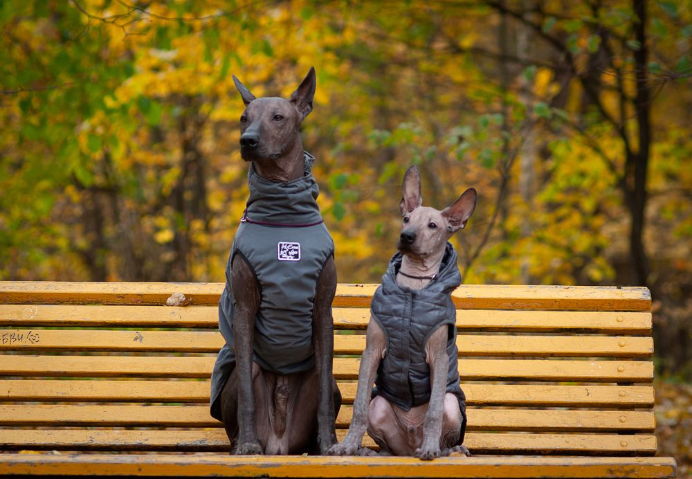 Photograph by Антонина Копытина