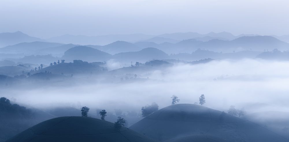 Photograph by Le Hoang Vu