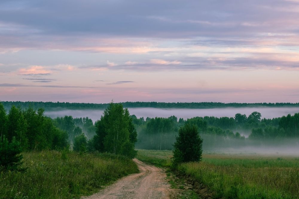 Photograph by Алексей Коровин