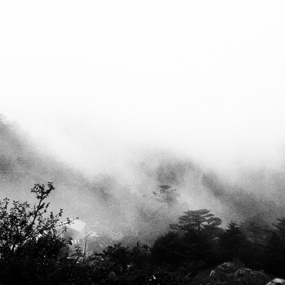 Фотография автора Saptaparna Mukherjee