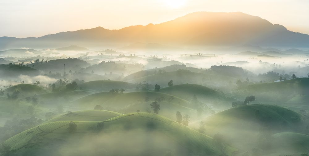 Photograph by Le Hoang Vu