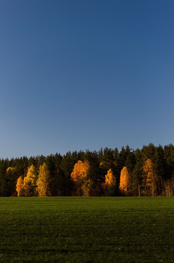 Photograph by Ольга Мукина