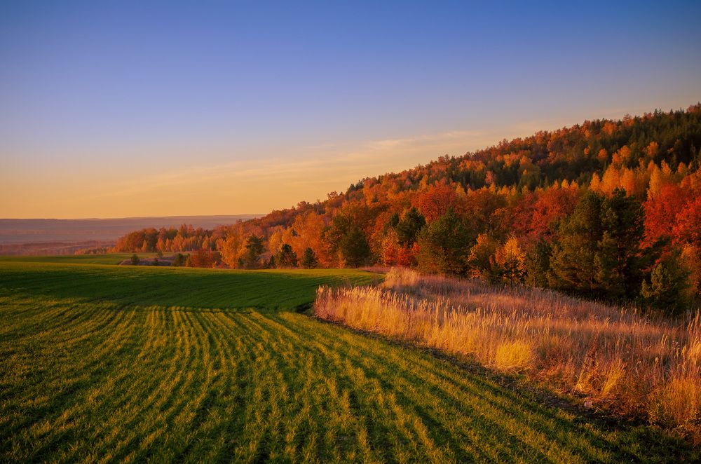 Photograph by Ольга Мукина